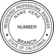 Professional Engineer