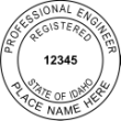 Professional Engineer